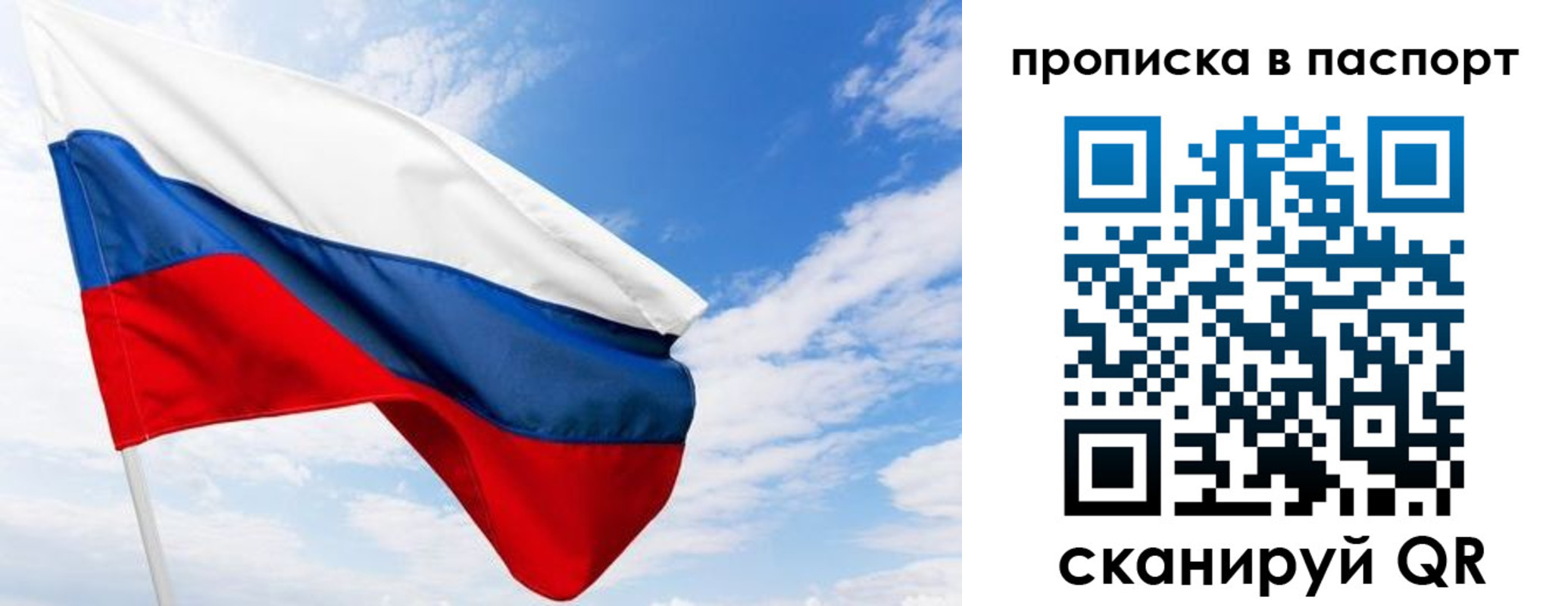 прописка поиск в Купино