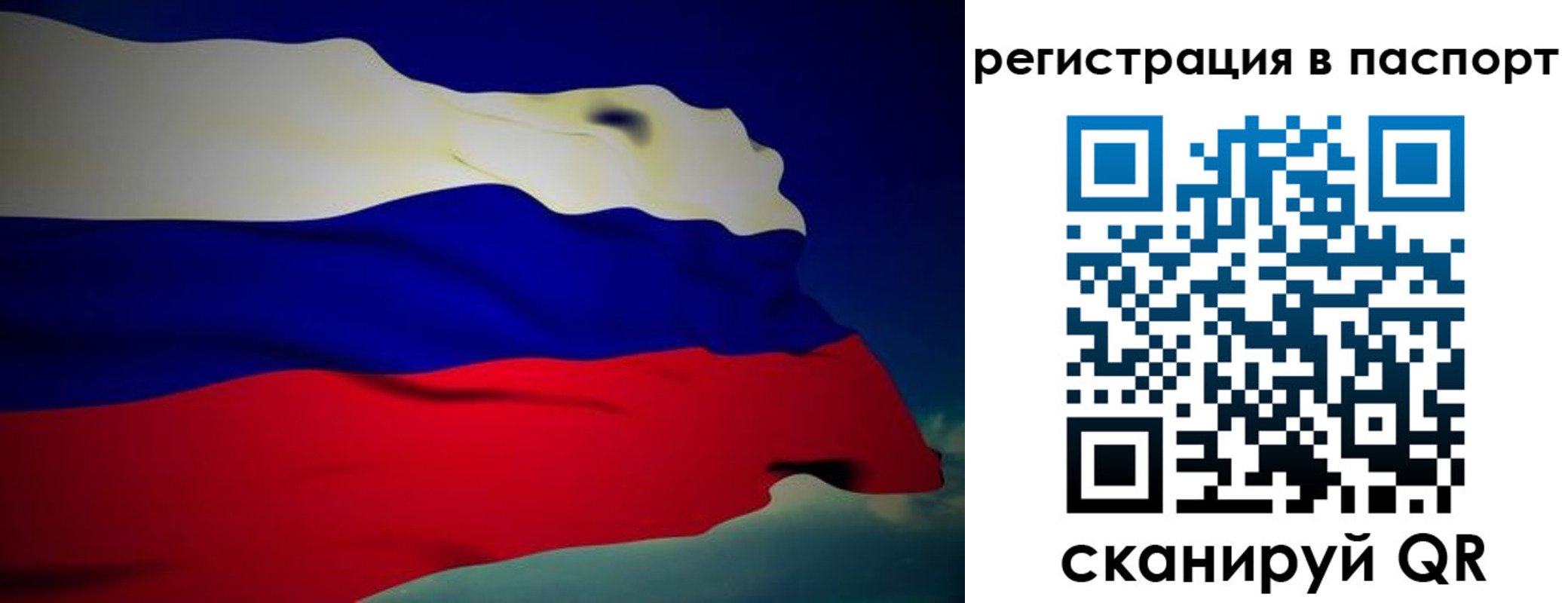 временная регистрация 2025 в Купино